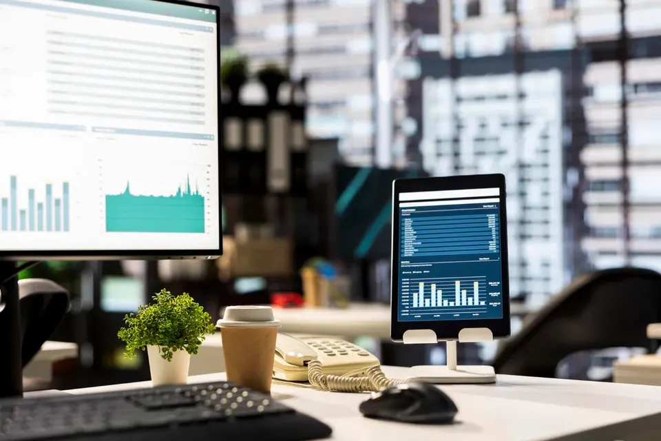 Software economics assessment