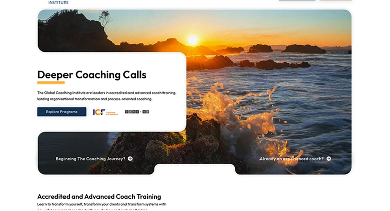 Website example 1
