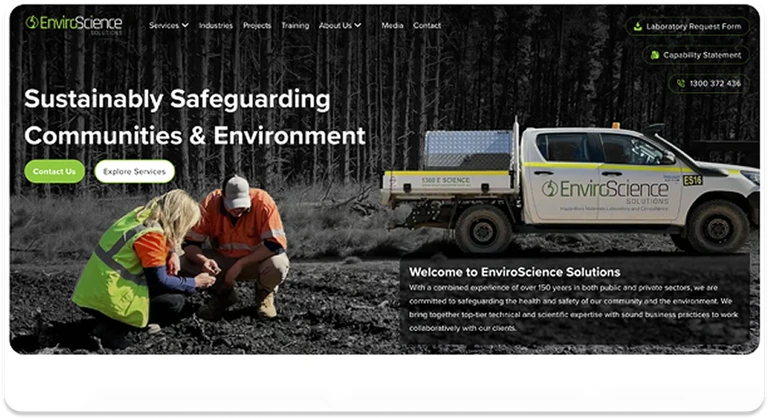 Website example 1