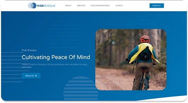 Website example 2